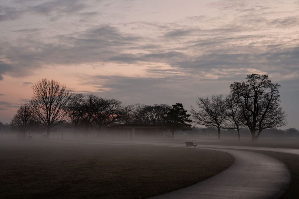 Misty city park at dawn with bare trees, a bench, and winding path