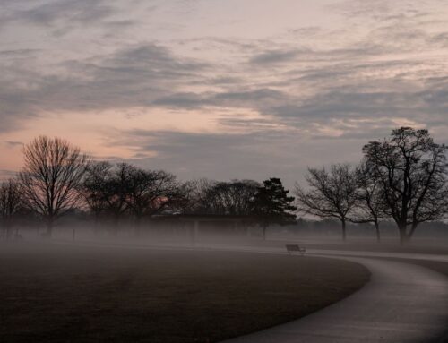 The Quiet Luxury of Waking Up Beside a City Park