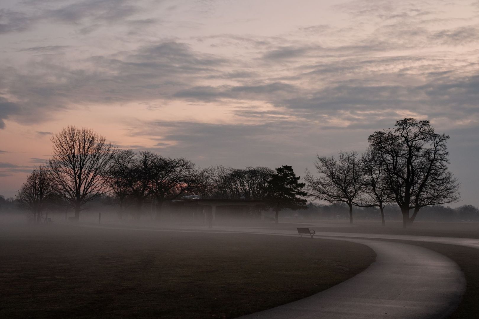 Misty city park at dawn with bare trees, a bench, and winding path